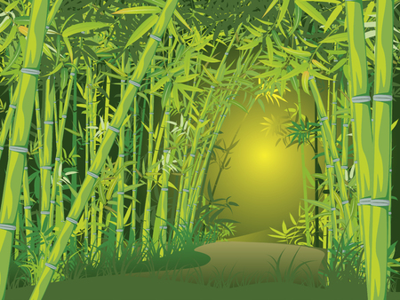 Illustration of bamboo trees, asian forest landscape background.のイラスト素材