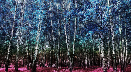 Holographic, rainbow color effect on trees and bushes, city park landscape.の写真素材