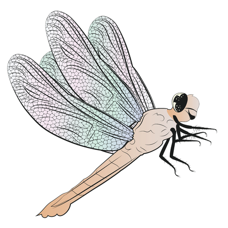 Digital illustration of cute dragonfly, cartoon insect design.のイラスト素材
