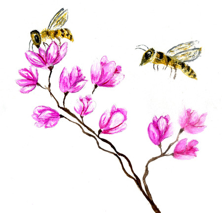 Yellow honey bee hand drawn watercolor illustration.の写真素材