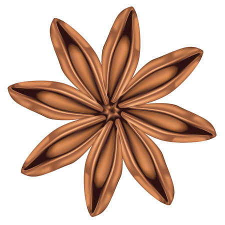 Aromatic spice star of anise illustration on white background.のイラスト素材