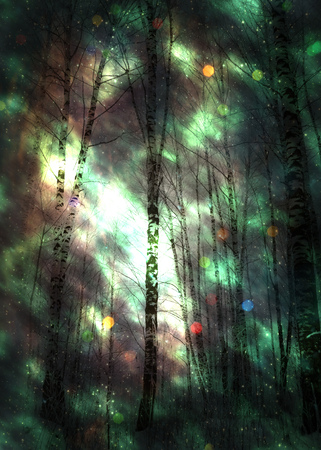 Glowing starry space with winter forest illustration, photomanipulation.の写真素材