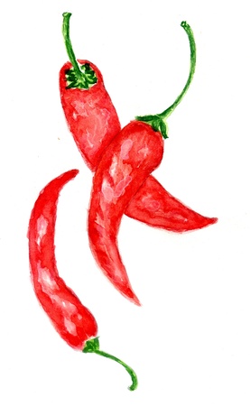 Hand drawn red chili pepper watercolor illustration.の写真素材