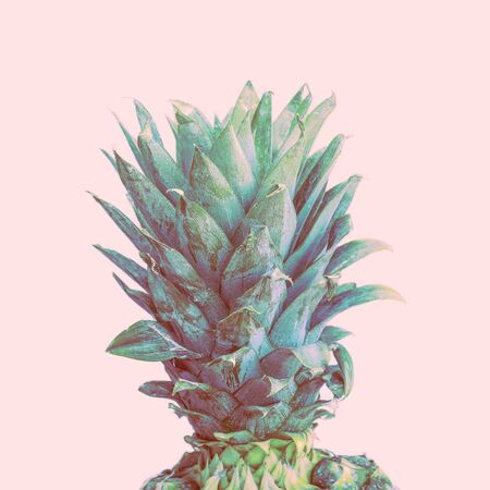 Vintage style  with green pineapple top design.の写真素材