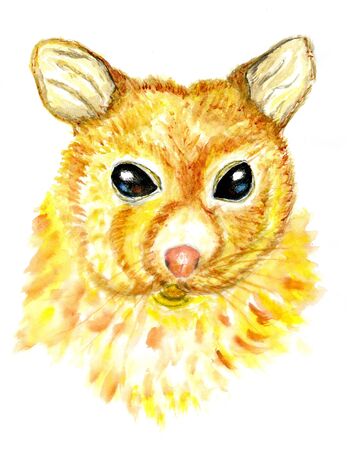 Watercolor cute cartoon golden possum or australian kuzu, hand drawn illustration.の写真素材