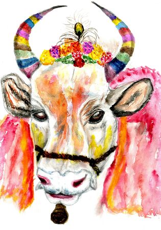 Hindu harvest festival, Pongal greeting with decorated cow hand drawn illustration.の写真素材