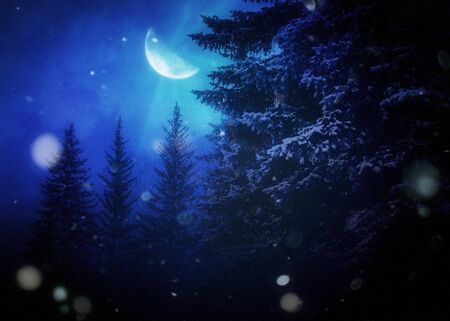 Snowy winter night and fir trees under moonlight.の写真素材