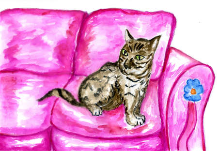 Hand drawn sketch of living room with comfort sofa and cat colorful illustration.の写真素材