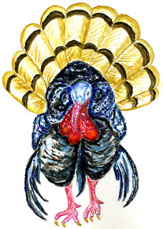 Colorful turkey bird hand drawn watercolor illustration.の写真素材