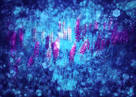 Purple lupine flowers with bokeh and light effects, fantasy background.の写真素材