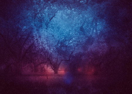 Dark rainy night in the old garden with apple trees.の写真素材