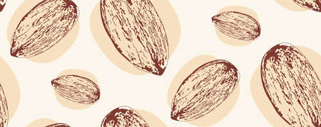 Peeled almond seed, ripe brown kernel detailed illustration.のイラスト素材