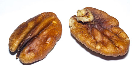 Peeled fresh pecan nuts close up background.