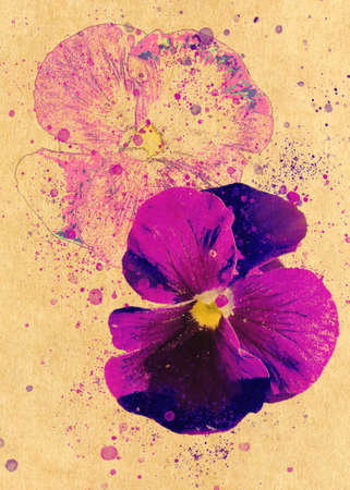 Decorative purple pansies, retro paper background, fake watercolor photo manipulation.の写真素材
