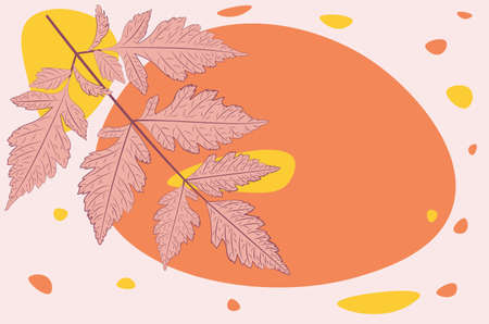 Line art autumn leaves with abstract shapes retro design illustration.のイラスト素材