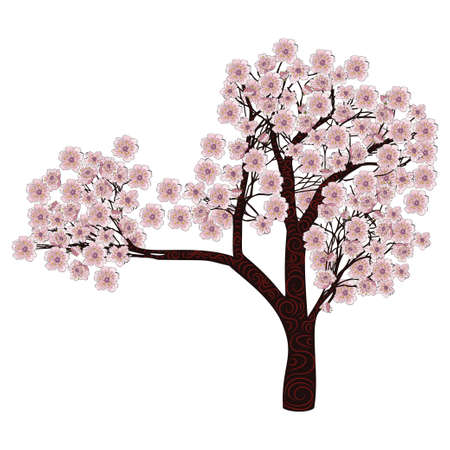 Pink cherry blossom, sakura blooming tree illustrationのイラスト素材