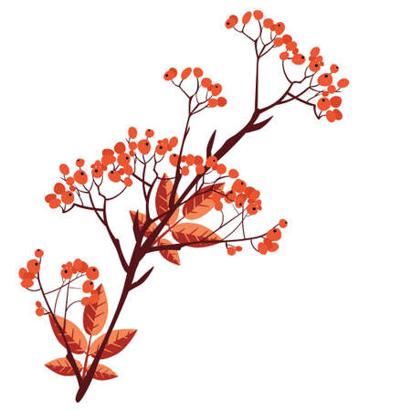 Abstract branches of rowan tree with berries, mountain ash.のイラスト素材