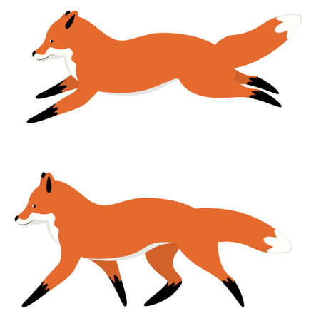 Abstract cute cartoon red fox in running pose.のイラスト素材
