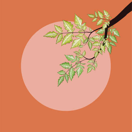 Tree branch with decorative green summer leaves illustration.のイラスト素材