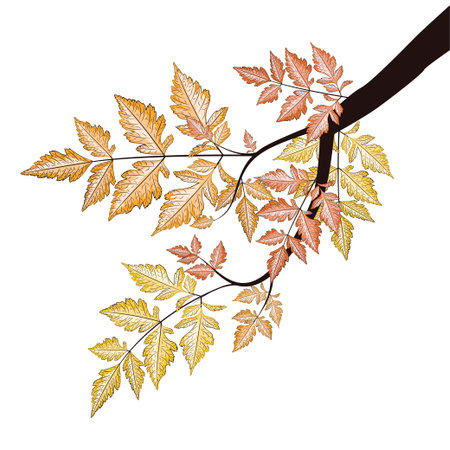Tree branch with decorative yellow autumn leaves illustration.のイラスト素材