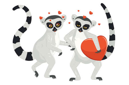 Cute cartoon gray lemur catta couple with big red heart illustration.のイラスト素材