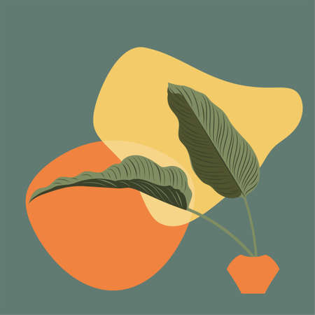 Tropical plant calathea leaves green leaves with abstract geometric shapes illustration.のイラスト素材