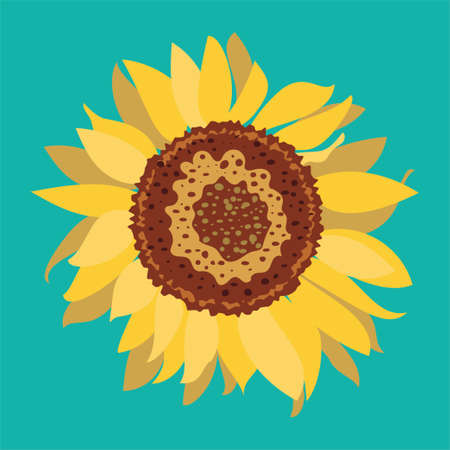 Big yellow sunflower in decorative flat style illustration.のイラスト素材