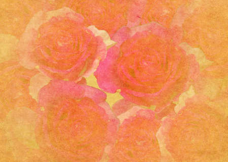 Pink roses textured with grunge paper background.の写真素材