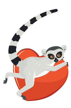 Cute cartoon gray lemur catta with big red heart illustration.のイラスト素材
