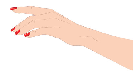 Human hand with Caucasian skin and square nails covered with red polish.のイラスト素材