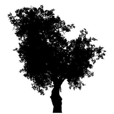 Abstract tree silhouette with leaves isolated on a white background.のイラスト素材