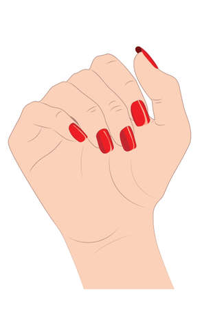Human hand with caucasian skin and square nails covered with red polish.のイラスト素材