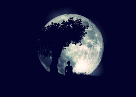 Lone tree with grass and sitting girl silhouette at night time. Elements for this image is furnished...