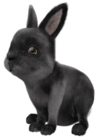 Cute little black bunny or rabbit, 3D Illustration.の写真素材