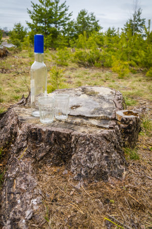 Wastes in the forest, empty bottle and two drinking glasses.の写真素材