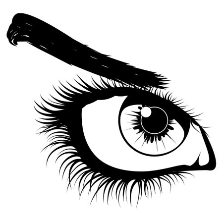 Female eye with long eyelashes and eyebrow in black and white color.のイラスト素材