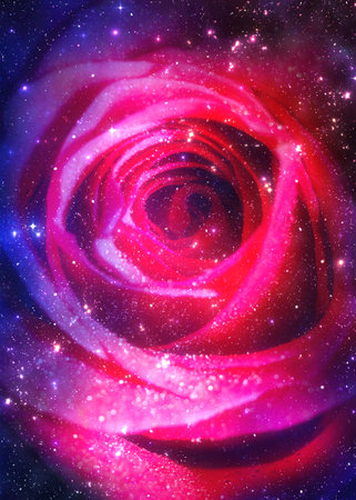 Red rose flower over starry space background, illustration, photo manipulation.の写真素材