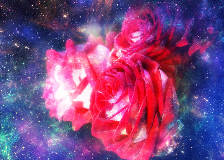 Red rose flower over starry space background, illustration, photo manipulation.の写真素材