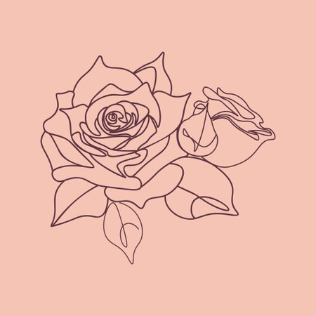 Abstract line art rose flowers with leaves minimalistic illustration.のイラスト素材