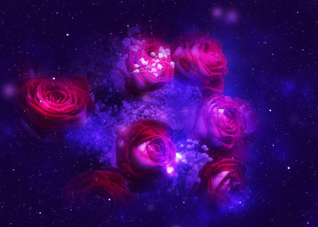 Red rose flower over starry space background, illustration, photo manipulation.