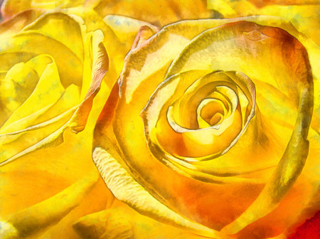 Bright yellow roses illustration, digital painting effect, photo manipulation.の写真素材