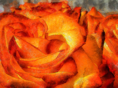 Bright orange roses illustration, digital painting effect, photo manipulation.の写真素材