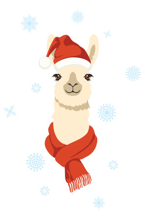 Cute llama wear red christmas hat and scarf illustration.のイラスト素材
