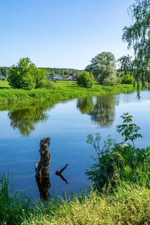 Summer countryside landscape with village and river under blue sky. Rural river with green meadow peaceful landscape.の写真素材