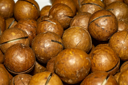 Close up of ripe macadamia nuts in their shells. Photograph showcases the natural texture of the nuts, perfect for culinary, health, and food-related projects.の写真素材