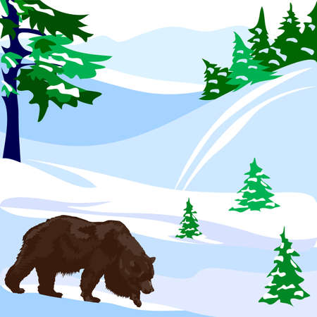 Bearのイラスト素材