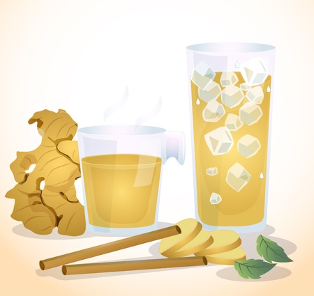 Ginger, both hot and cold drink nourish the body with peppermint, and cinnamon ingredients のイラスト素材