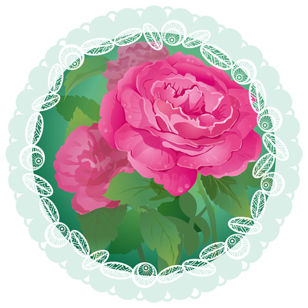 Vector of roses for decoration, such as cards, book covers, brochure etc.のイラスト素材