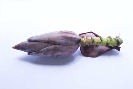 banana blossom isolate on white background.の写真素材