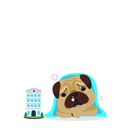 Sick dog have a cold putting blanket on the body.のイラスト素材